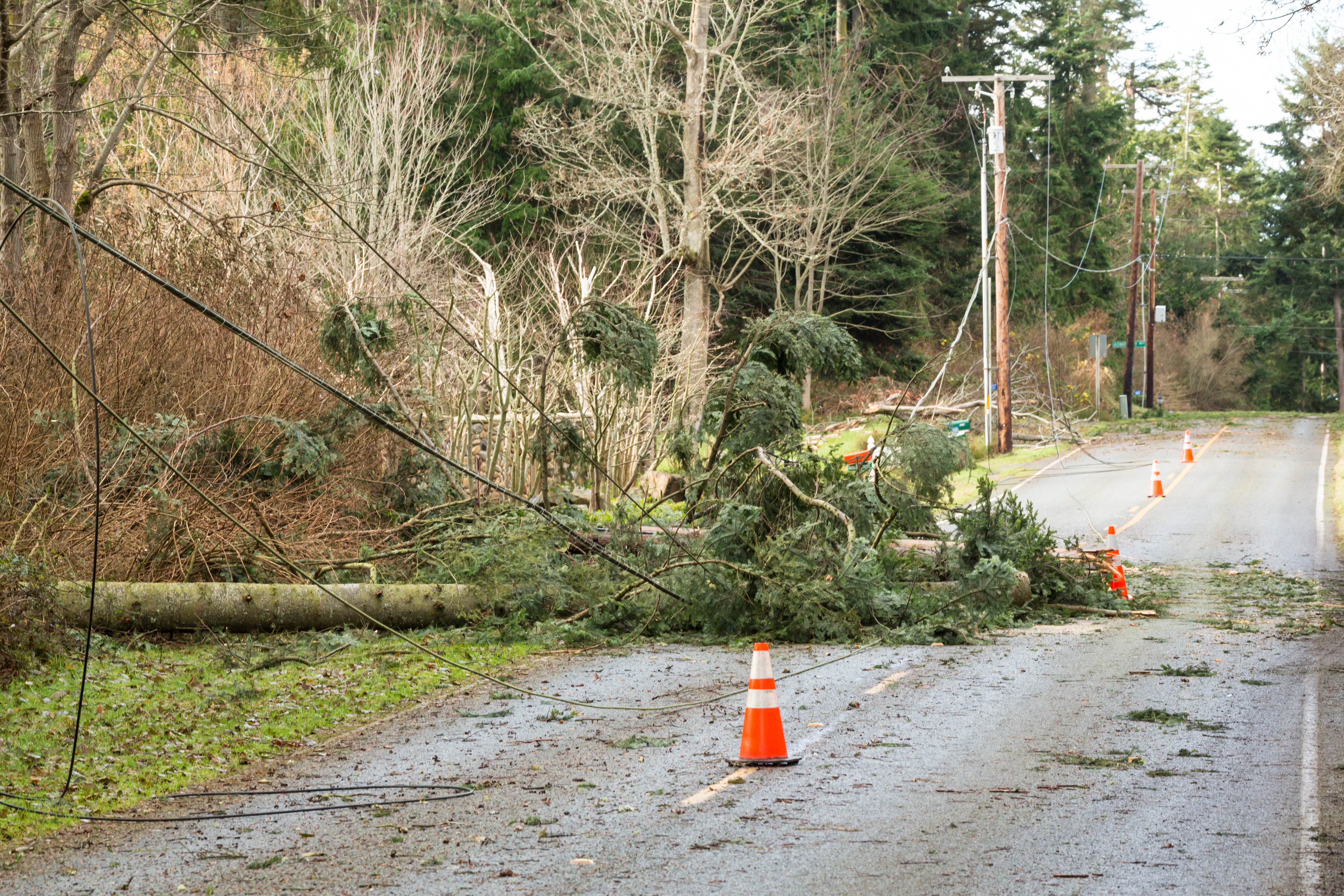 Image of a downed powerline