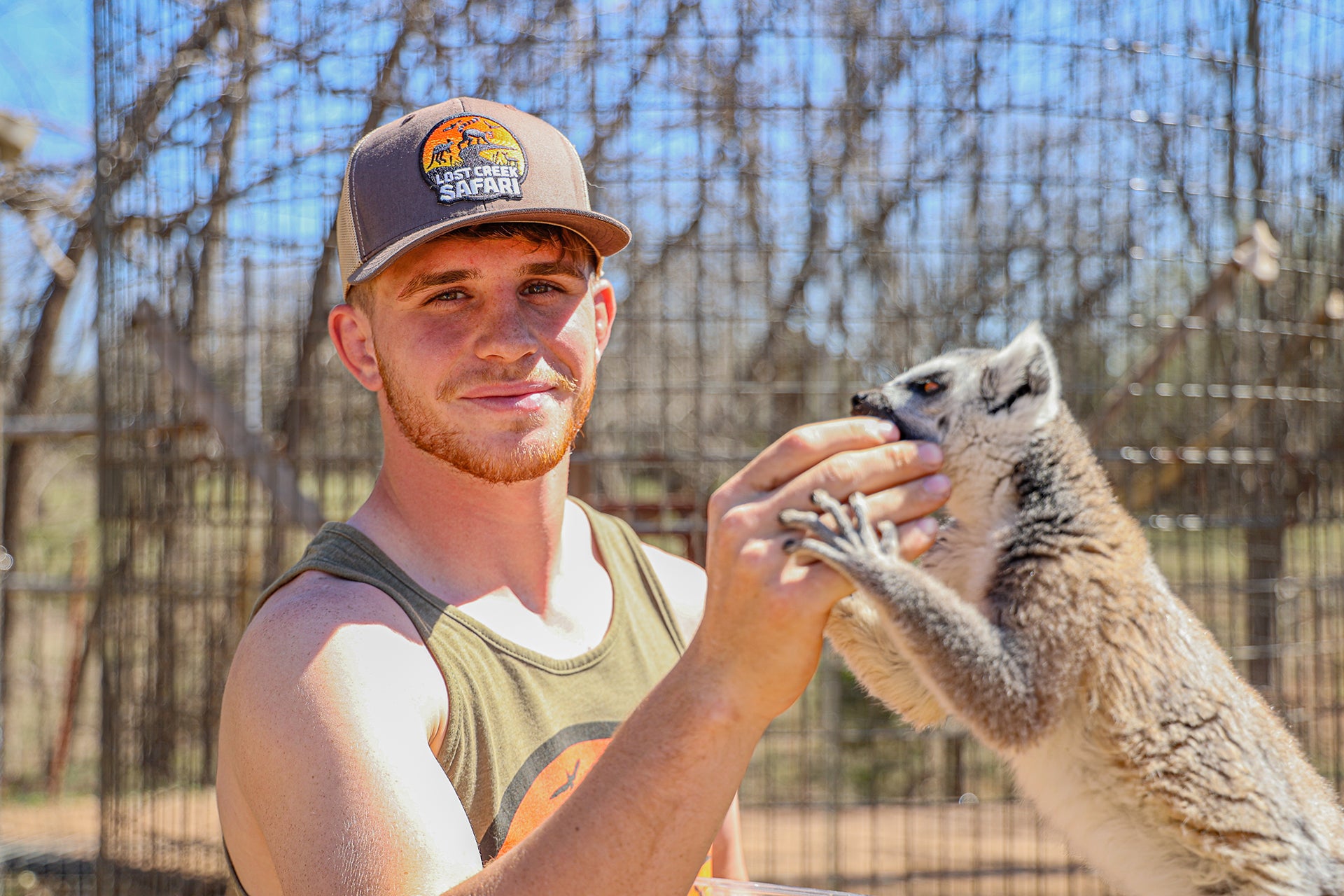 Owner Trevor Mastrogiovanni feeding one of the resident ring-tailed lemurs.
