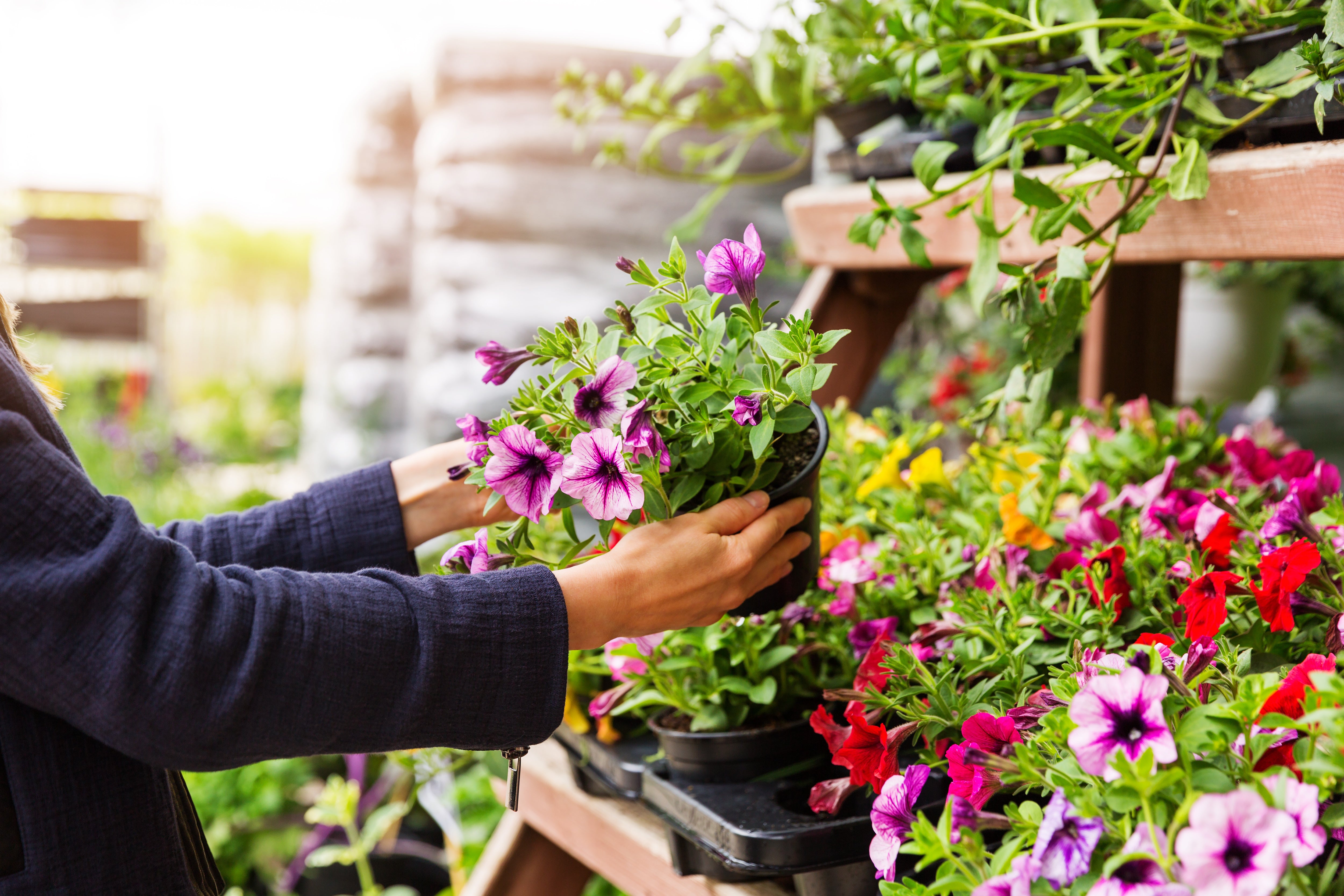 Gardening Store