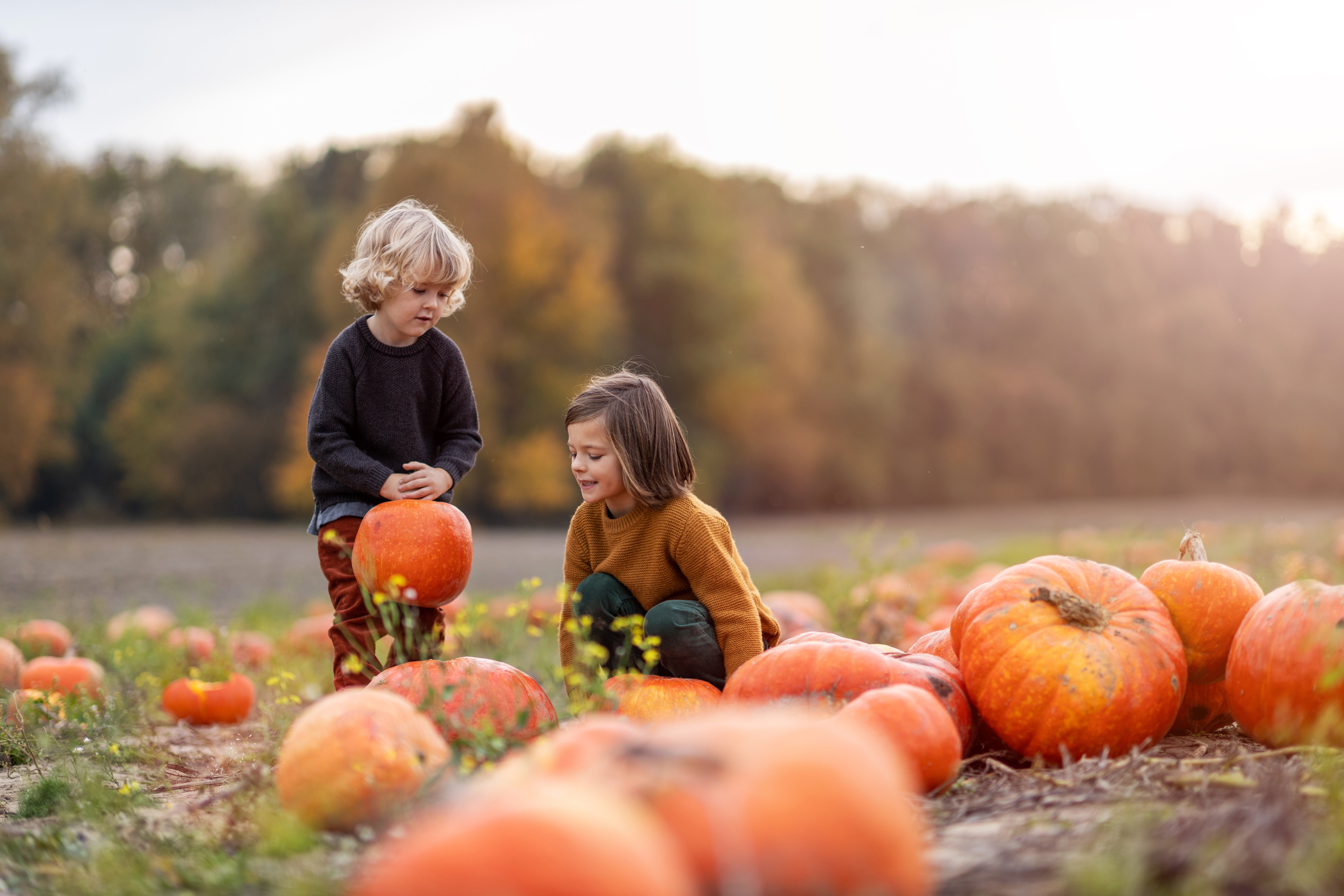 Kids at a pumpkin patch
