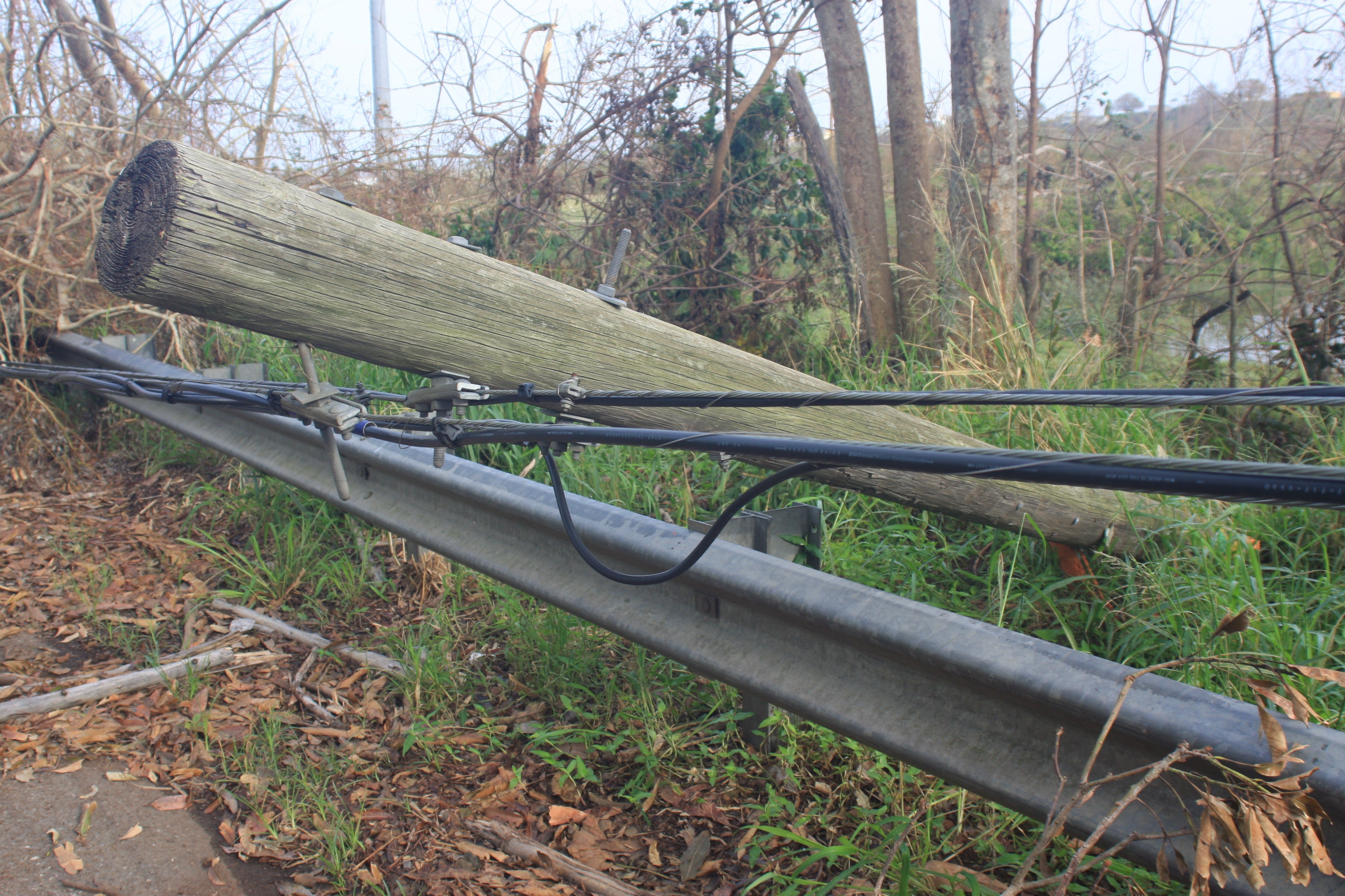 Stock image of a downed power line. 