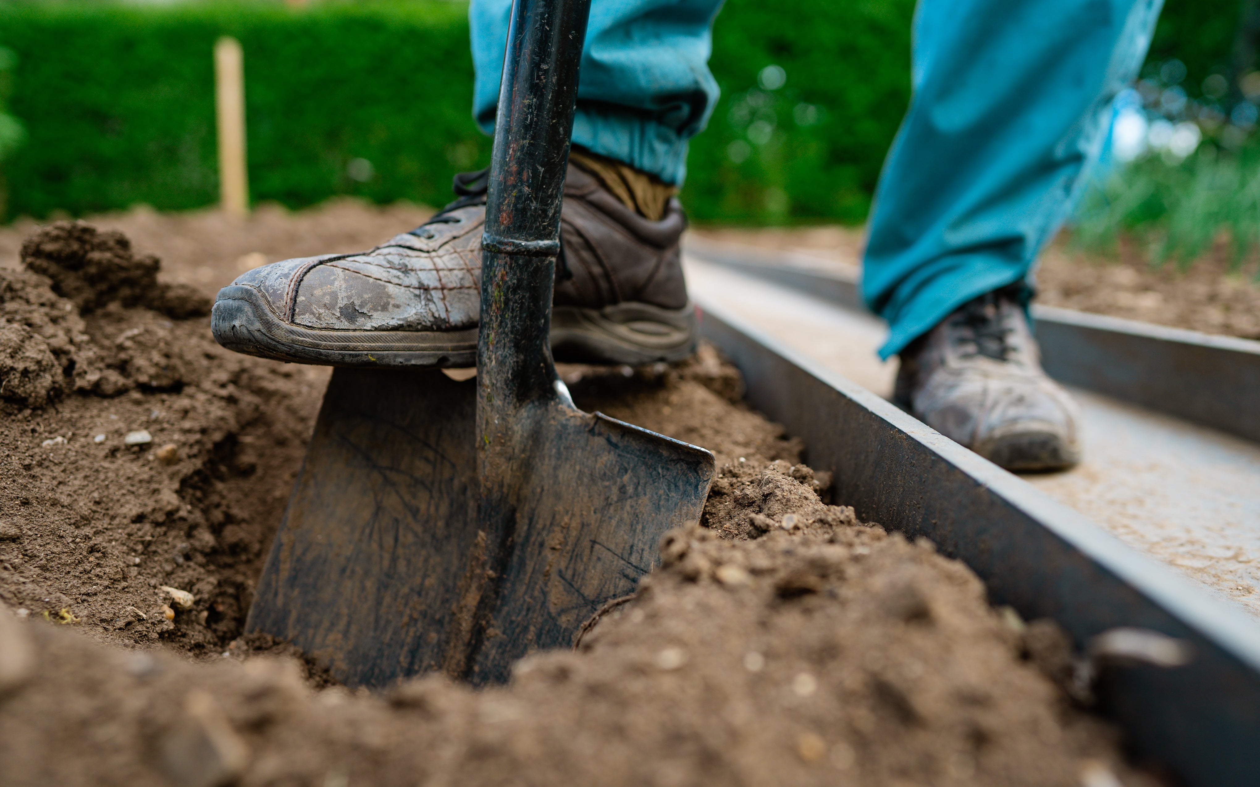 A person digging in a garden