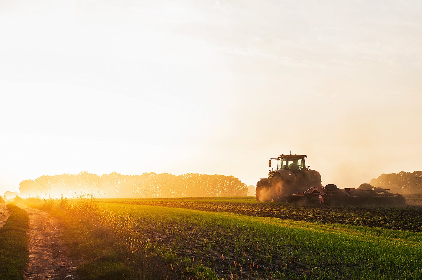 Tractor working land